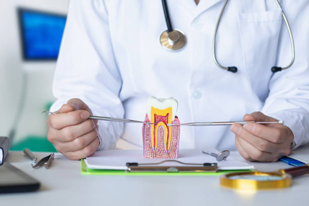 Best Emergency Orthodontic Repairs in Terry, MS
